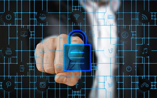 乐鱼体育下载-赛事风险管理体系，体育赛事风险管理的主要内容