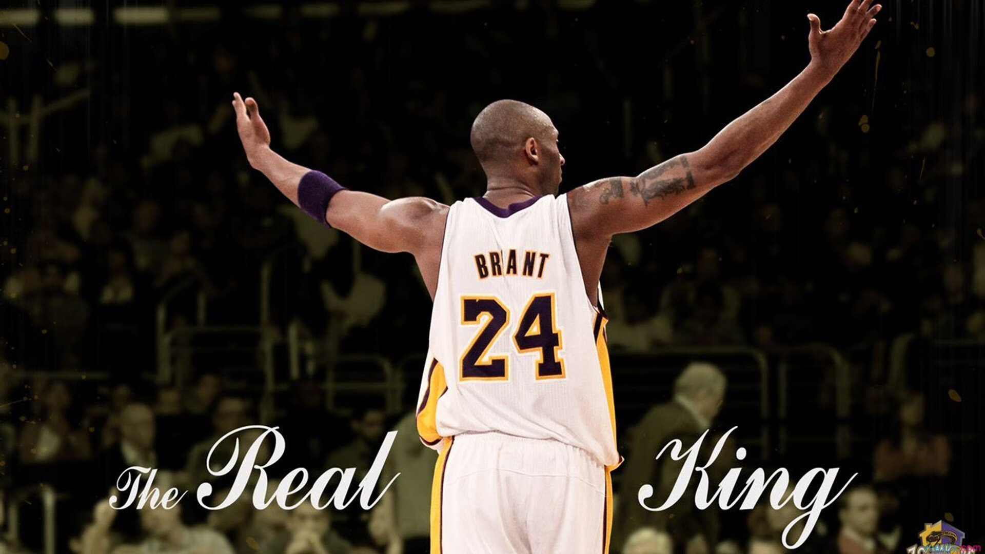 CBA球队加强心理辅导工作